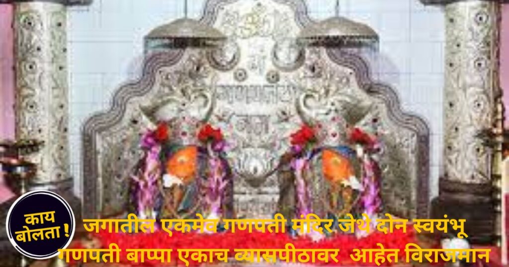two self made Ganesha idols